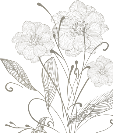 footer-illus